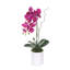 Arrangement d'orchidées