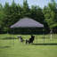 Remise portative imperméable 10 pi L 10 pi. D Auvent escamotable en métal-98780940