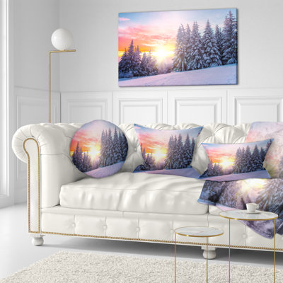 Coussin Schafer Designart