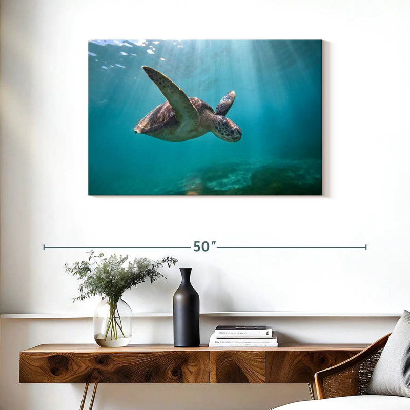 Tortue de mer Brampt Martinique, H 24 po x l 36 po