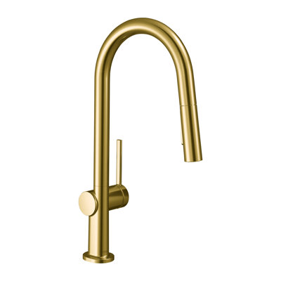 Hansgrohe Talis N A-Style Pull-Down Faucet