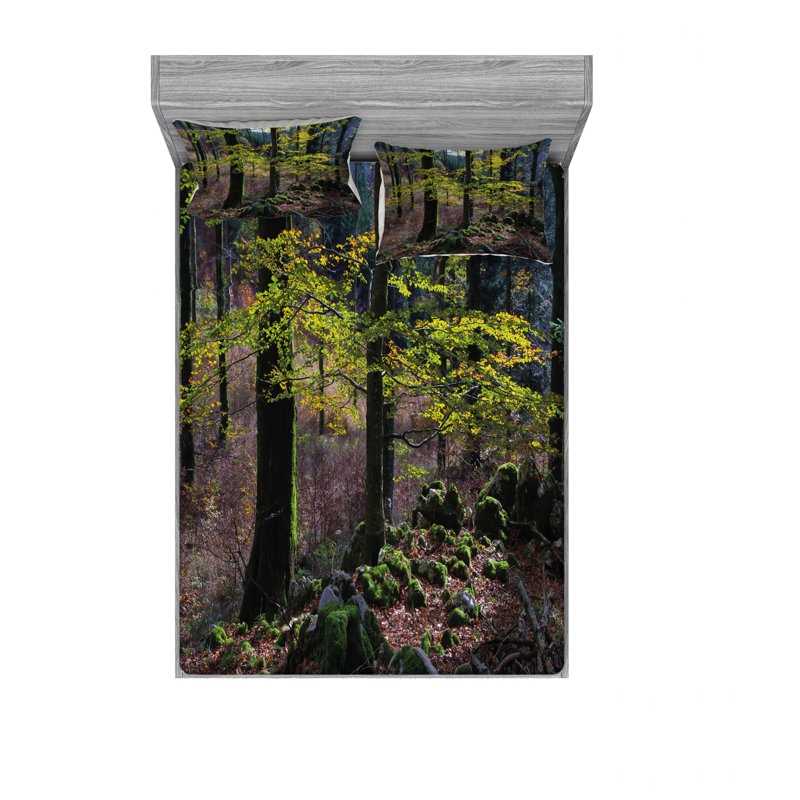 Ensemble de draps de croissance rurale de la saison d’automne dans les bois wilderness