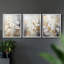 Floral Study  Series  XCVI  -Set Of 3 Framed Giclee Prints -Ready to Hang-107253820-107253822