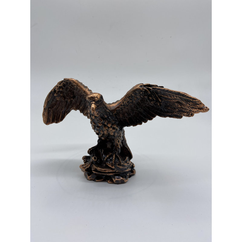 Aigle sur rocher avec espadon