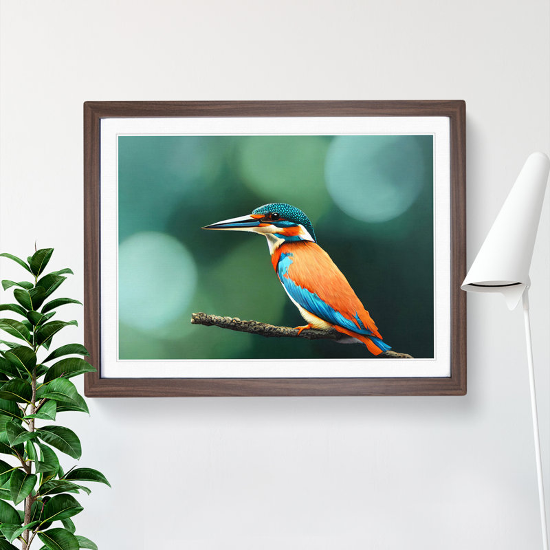 Splendid Kingfisher Bird - Framed Print, 46cm H x 64cm W x 2cm D, Walnut