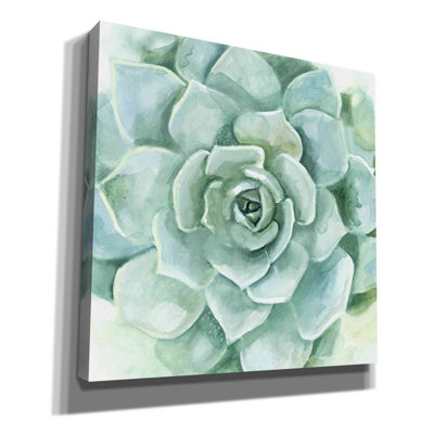 «Verdant Succulent I» par Victoria Borges, art mural sur toile