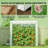 Outdoor Mini Greenhouse,Modern Greenhouse-124615629