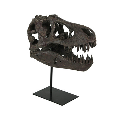 T-Rex Dinosaur Skull Mounted Tyrannosaurus Rex Fossil Figurine -  Trinx, 3F517E74443A4275A4AA4D76B87E984D