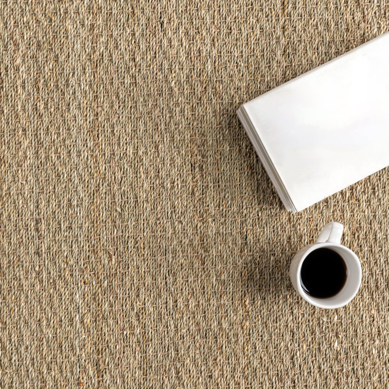 Palacio Farmhouse Seagrass Area Rug in Beige, Rectangle 2' x 3'