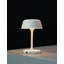 Metal Novelty Lamp