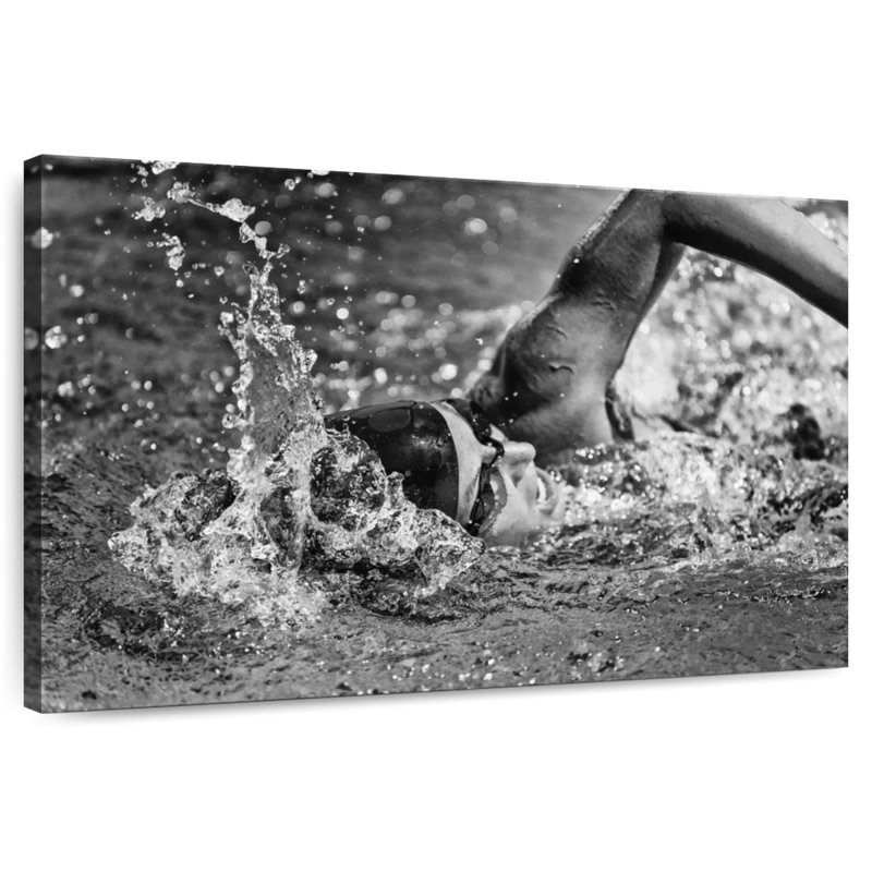 Sireci Olympic Swimmer, 32" H x 48" W
