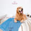 Couverture personnalisée avec nom et pattes-86380119-87231498-85515442