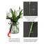 10 pièces fausses tulipes dans un vase, tulipanes blanches en soie, fleurs artificielles, tulipes blanches (y compris le vase)