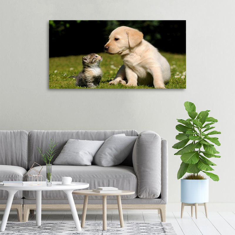 Dog And Cat On The Meadow - No Frame Print on Glass, 50cm H x 100cm W x 2cm D, Canvas