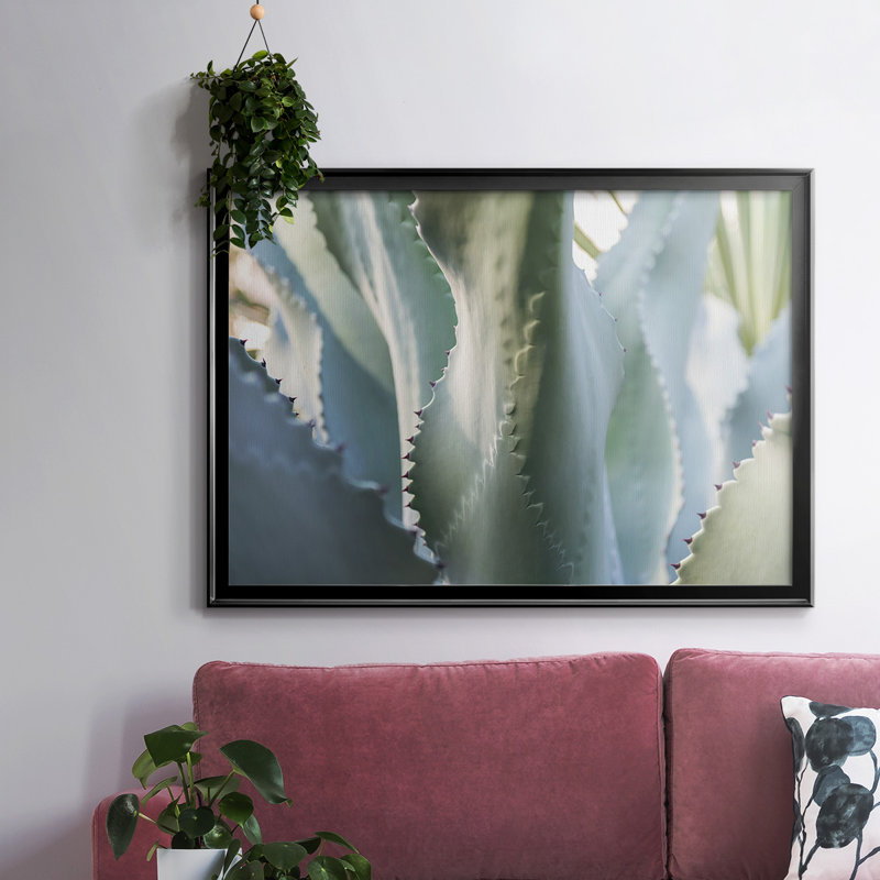Blue Agave II, reproduction d'art sur toile, H 26 po x l 38 po x P 1,5 po, Noir
