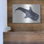 «Shark Whale 1» par Stellar Design Studio sur métal-1046351156
