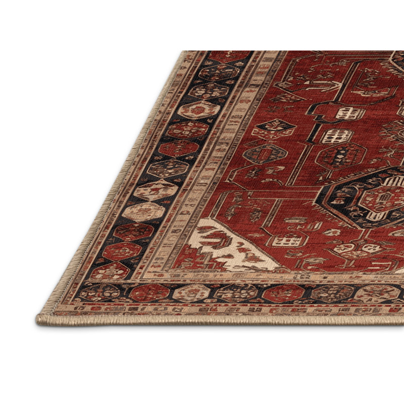 Tapis brun turc lavable à la machine, Rectangulaire 8 pi x 12 pi