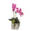 Real Touch Orchid Floral Arrangements in Pot
