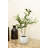 Olive 14 " H Faux Olive Tree Plant in Cement Pot