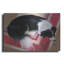 «Chien sur un tapis» par Durwood Coffey-659417992