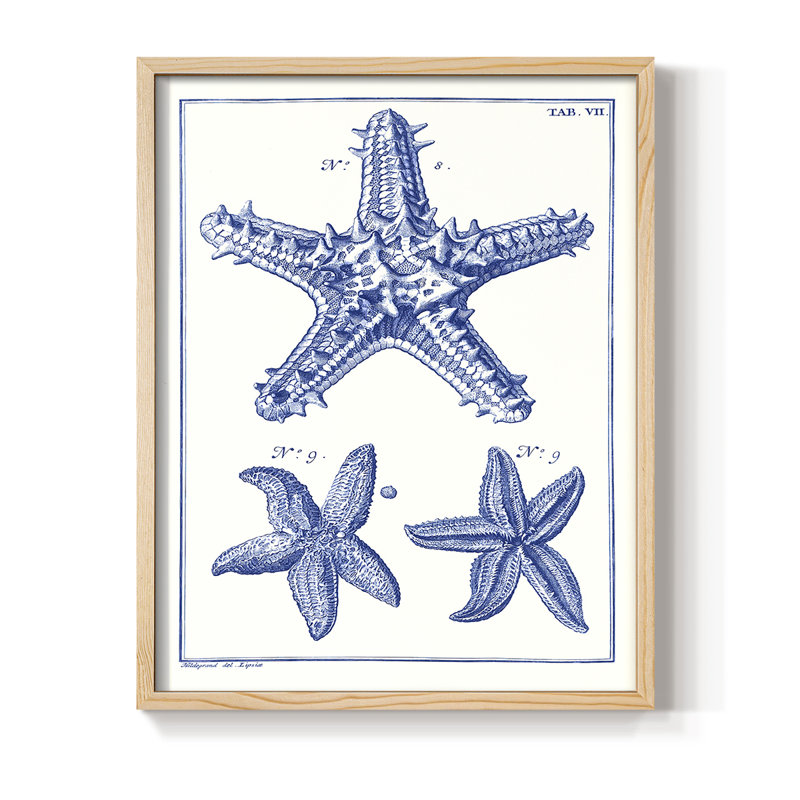«Blue Sea Stars», reproduction encadrée en bois massif, H 11 po x l 9 po