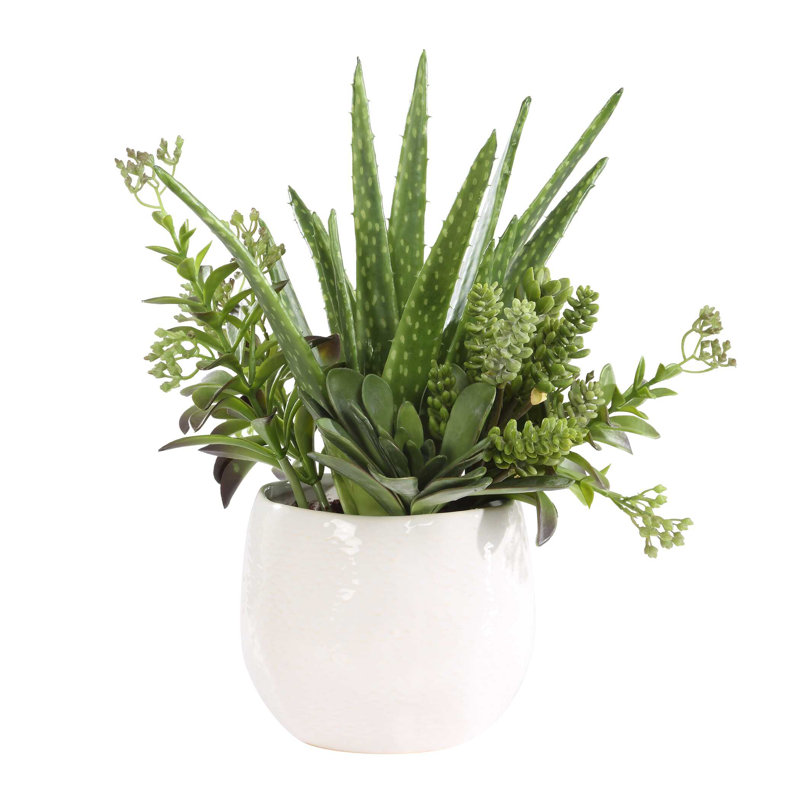 Pot à fleurs succulent Uttermost Sundown