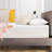 Wayfair Sleep™ 14" Medium Memory Foam Mattress-92128022