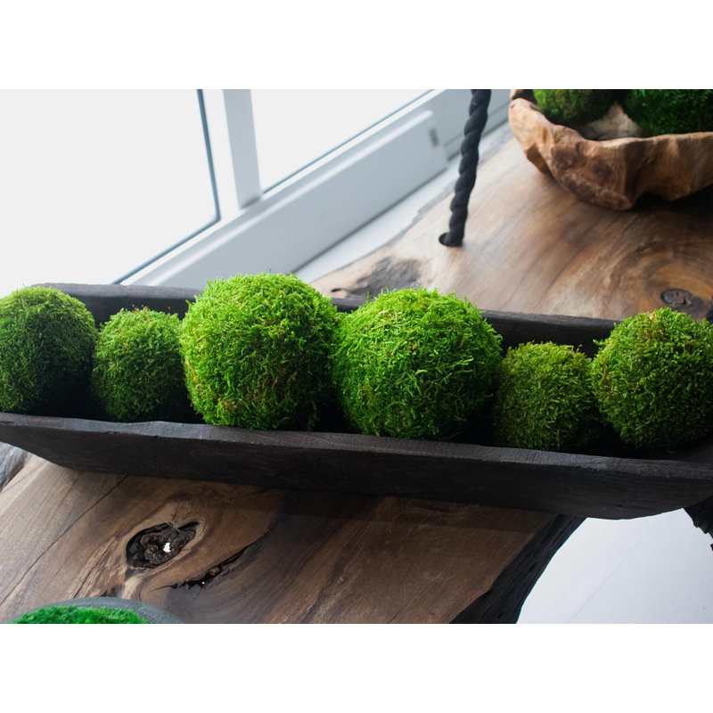  Preserved Moss Balls | Decorative Orbs & Vase Fillers (Set Of 2)