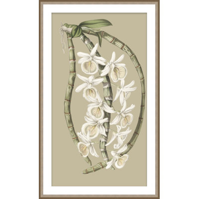Jungle Flora 1 Print