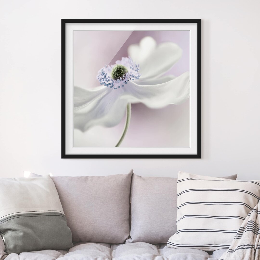 Gerahmter Fotodruck Anemone Breeze