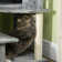 254cm H Cat Tree