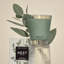 Wild Mint & Eucalyptus Votive Candle-1828798561
