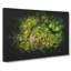 Road Through The Forest - Wrapped Canvas-56643838