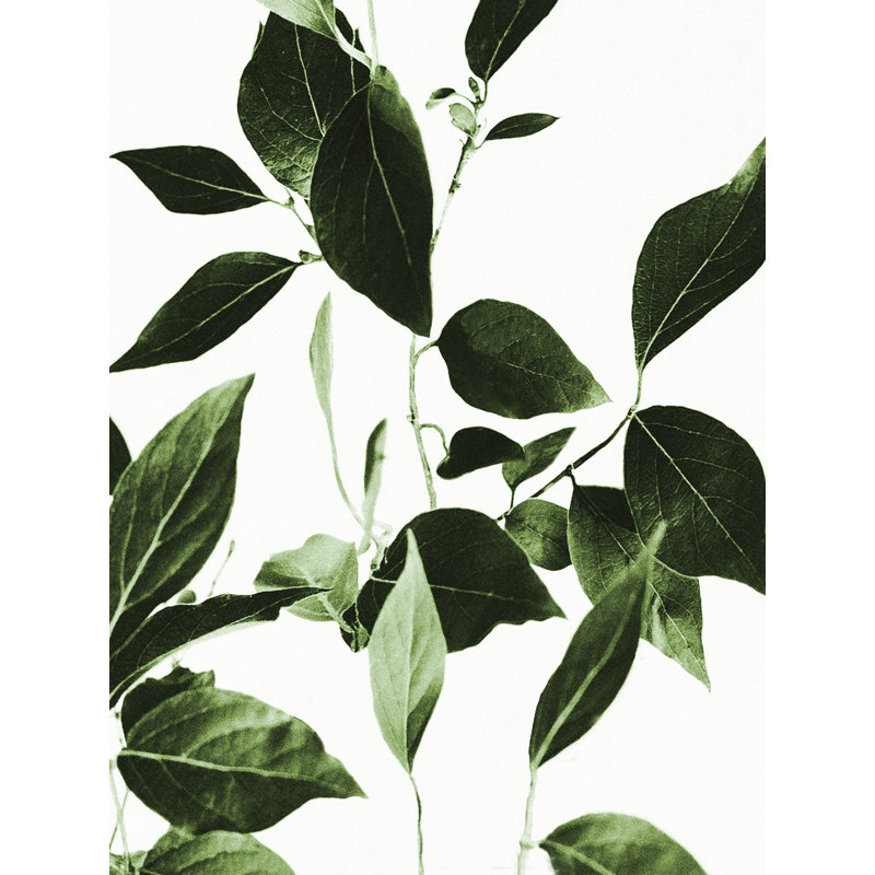 «Tree Branch Leaves», reproduction sur toile tendue, H 16 po x l 12 po x P 1,25 po
