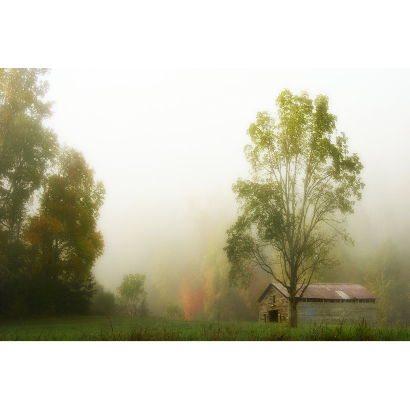 Fog At The Farm by Danny Head - Wrapped Canvas Print, 30cm H x 46cm W