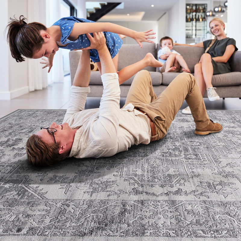 6X9 Stain Silver Rug - Non-Shedding For Home Office, Entryway, Bedroom Area Blanket Mat Great Living Room, Nursery,