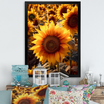 Tournesol doré au coucher du soleil III - impressions murales florales