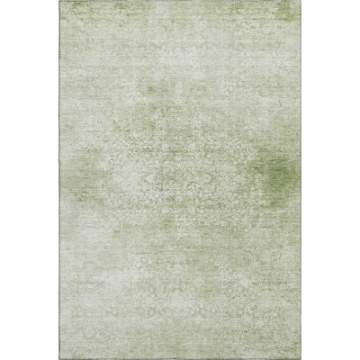 Premium Machine Washable Verlin AMF1763 Global Rug