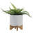8" Diamond Planter W/ Stand