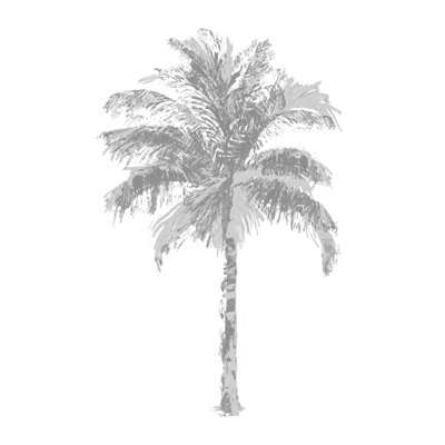«Bowerston Palm Gray II» sur toile par Kristen Drew