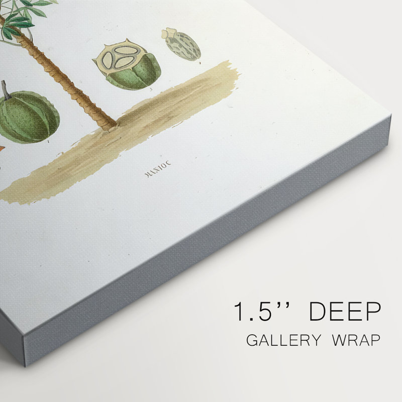 Arbre antique avec fruit VI - galerie Cavas, H 18 po x l 12 po