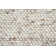 Areeya Wool Hand Woven Area Rug