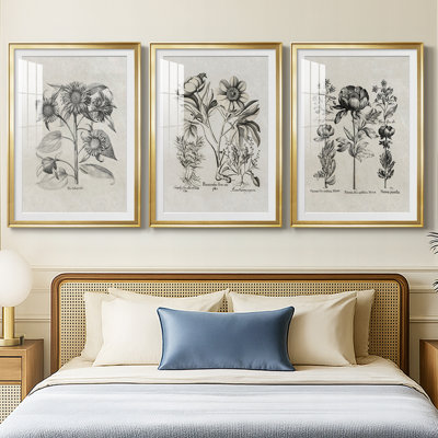 Vintage Floral Print CCCXXVIII  -Custom Framed  Premium Print W Matt - 3 Pieces