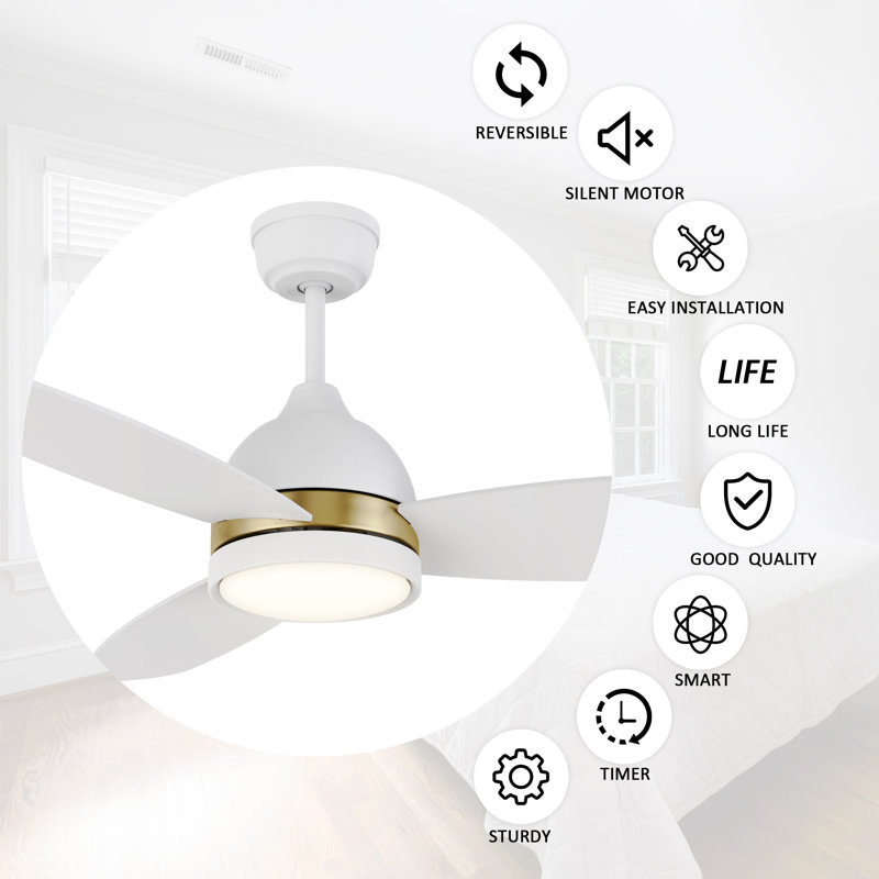 Eleanar 48'' Ceiling Fan with LED Lights