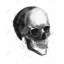 Black and White Skull | Framed Canvas for Home Decor