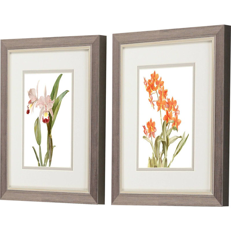 Floral Beauty I S / 2, impression encadrée sur papier 2 pièces