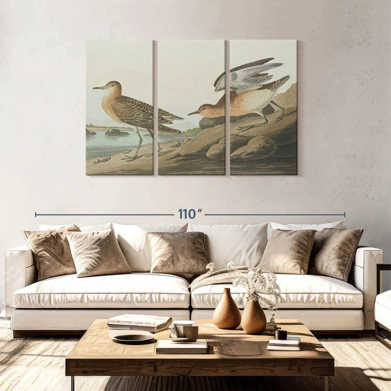 Brampt Buff Breasted Sandpiper, 48" H x 74" W