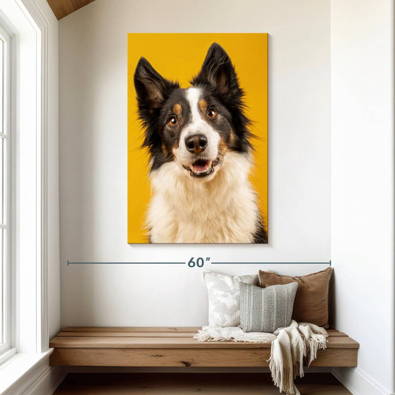 Brampt Adorable Border Collie, 48" H x 32" W