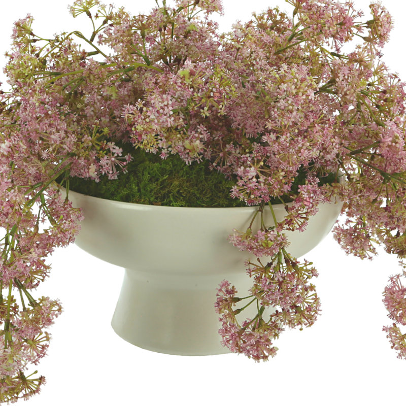 Organic Modern Weeping Laurel