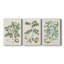 Buchoz Tropicals I - Toile tendue avec châssis sur mesure - 3 pièces-1981006698